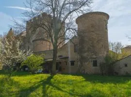 Ciel Bleu Chateau D'Allemagne