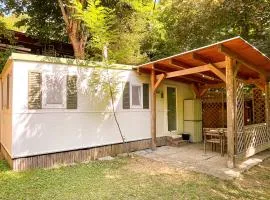 Le sorgenti - Mobile Home 46