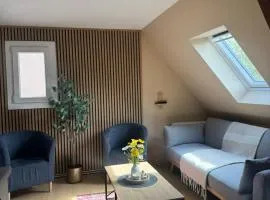 Magnolia, Appartement au centre ville de Colmar
