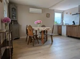 La charmante remise d'Alsace - Appartement Chez Mamama et Papapa