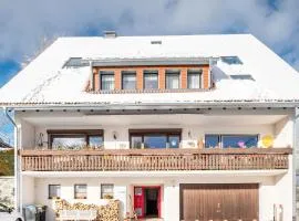 Haus Doktor Saeltzer-bis 9 Personen