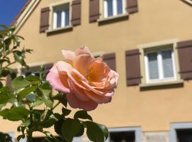 Alte Schmiede Ellrichshausen 2, Hotel in Satteldorf