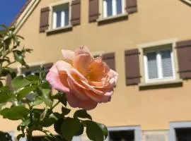 Alte Schmiede Ellrichshausen 2