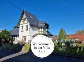Villa Lilly Ferienhaus mit Garten, Wintergarten und Whirlwanne, hotel a Ransbach-Baumbach