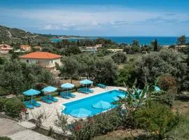 Anemona studio B