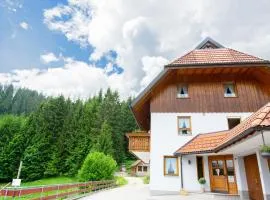 Ferienwohnung Birgit