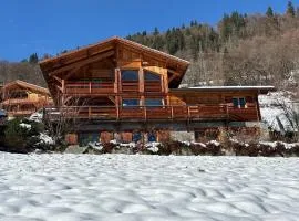 Chalet face au Mont Blanc wellnes