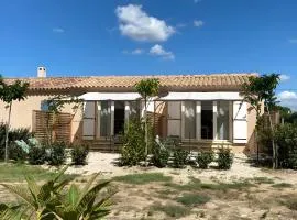 La Cigale Et La Fourmi