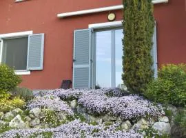 Dragonfly House, Alloggio in casa bifamigliare