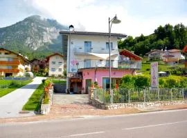 Ciclamino Standard Vittoria