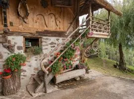 Historisches Apartment Duregghof