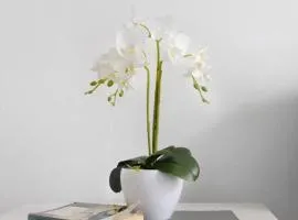 Apartamento Playa Morro Jable 2c