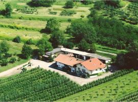 Weingut Ringwald, hotel i Herbolzheim