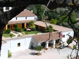 Cortijo puertoelperal