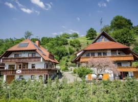 Ferienwohnungen Müller, Hotel in Haslach im Kinzigtal