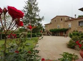 Mas Pareta - La Morera