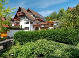 Haus Bachmatt, Hotel in Sasbachwalden