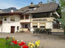 Gisshübelhof Apartments