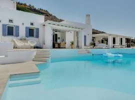 Blueros - Olive suite