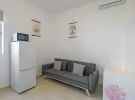 Vivienda V Lorennani El Paso