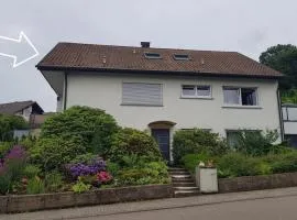 Schusters Murgtalblick