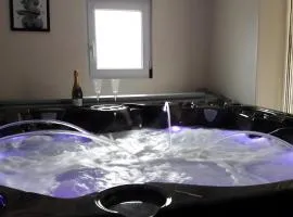 Gîte Avec Spa Privatif Et Piscine