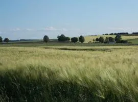 Natur Und Ruhe - Für Ruhe Suchende
