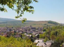 Villa Bonita del Kaiserstuhl