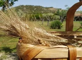 Agriturismo la Mandragola Relais