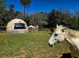 La Cabane aux Chevaux: Varages şehrinde bir otel