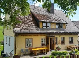 Haus Luise in Lenzkirch