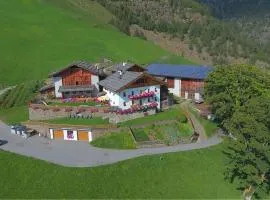 Schnatzhof Apartment Adlerhorst