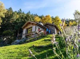 Chalet Panorama Res Albert