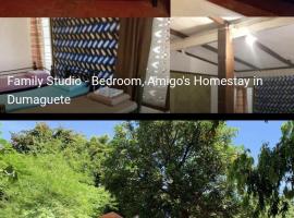 Amigos Homestay, Hotel in Laguna