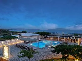 Iguana studio 8