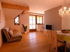 Rosengartnerhof Apt Gantkofel