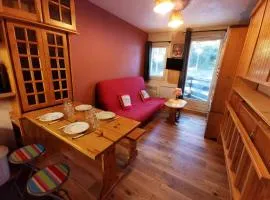 Studio idéal au pied des pistes - FR-1-771-90