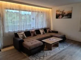 Ferienwohnung am Südhang