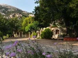 Akros Oreon, Omalos Studio