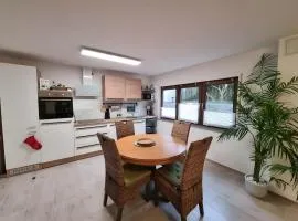 Ferienwohnung Rheinnähe