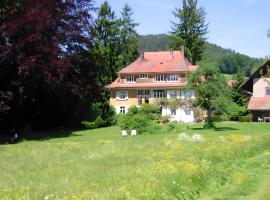Alpenblick-Steineckhof, hotel Schopfheimben