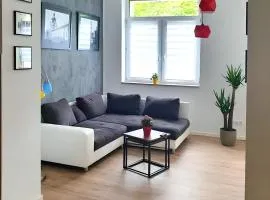 Geräumige moderne 3 Raumwohnung