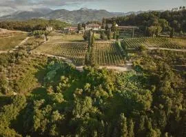 Casale Toscano a Lucca