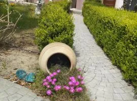 Kos Dream Family Stay in Kos