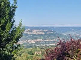 Tra gli ulivi e il panorama