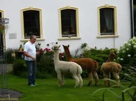 Alpakahof Blomberg