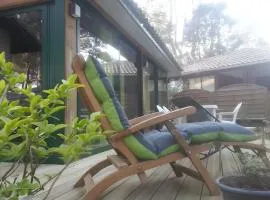 Maison, Piscine sous les pins