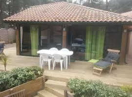 Maison, Piscine sous les pins