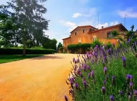 Mas Pareta - La Parra 1