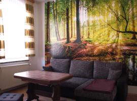 Ferienwohnung Rose, hotel din Schöneck